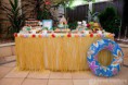/album/galeria-de-fotos/darling-details-luau-1-jpg/
